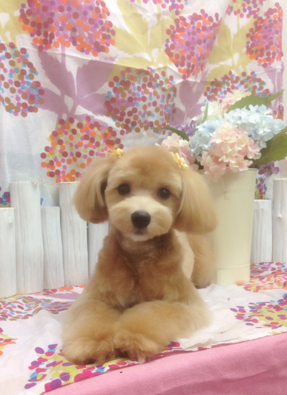 マルくん