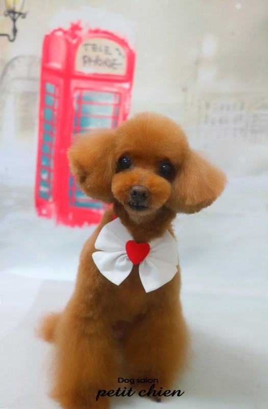 こころちゃん