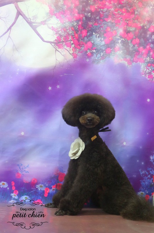ひじきくん