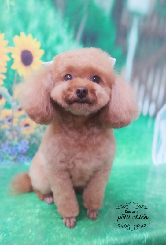 あろえちゃん