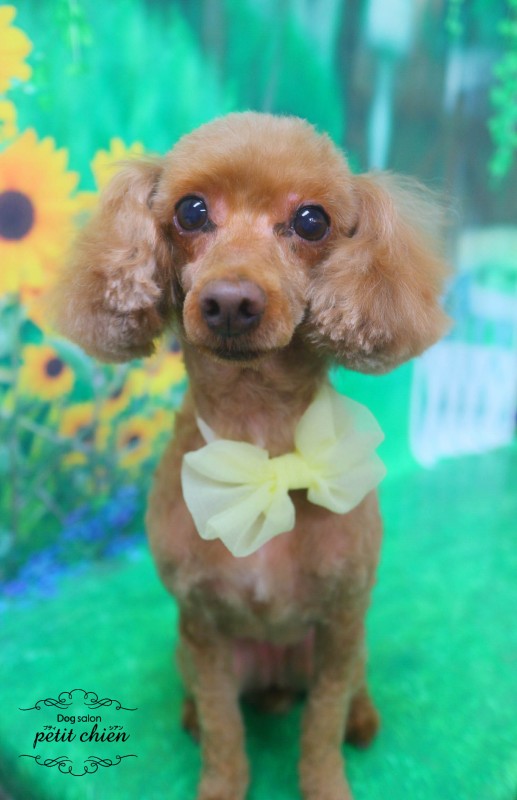 桃恩ちゃん