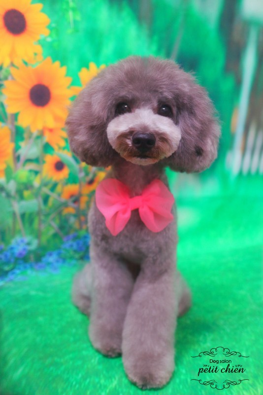 ニコちゃん