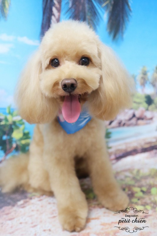 ルゥくん