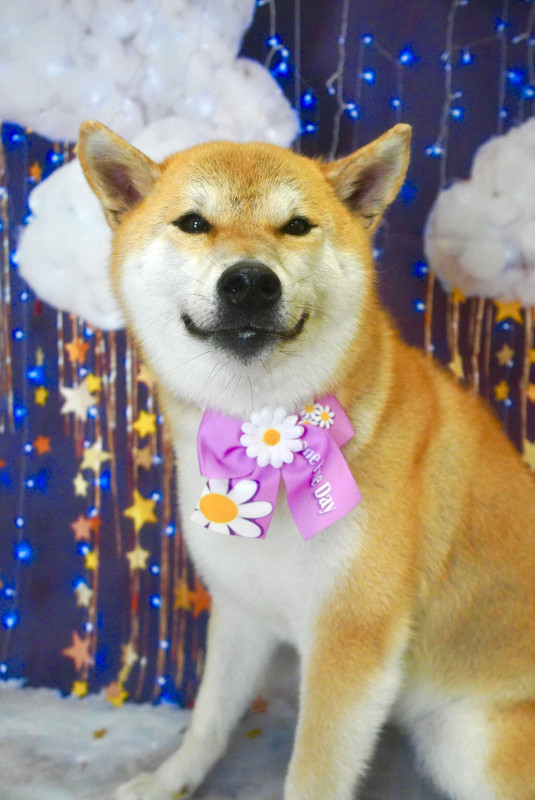 すももちゃん