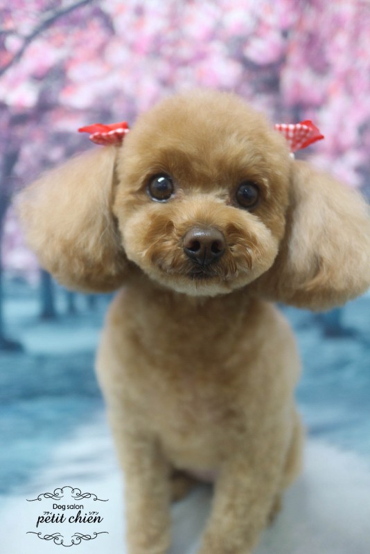 あろえちゃん