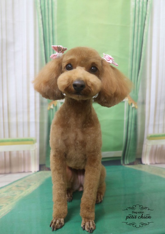リンちゃん