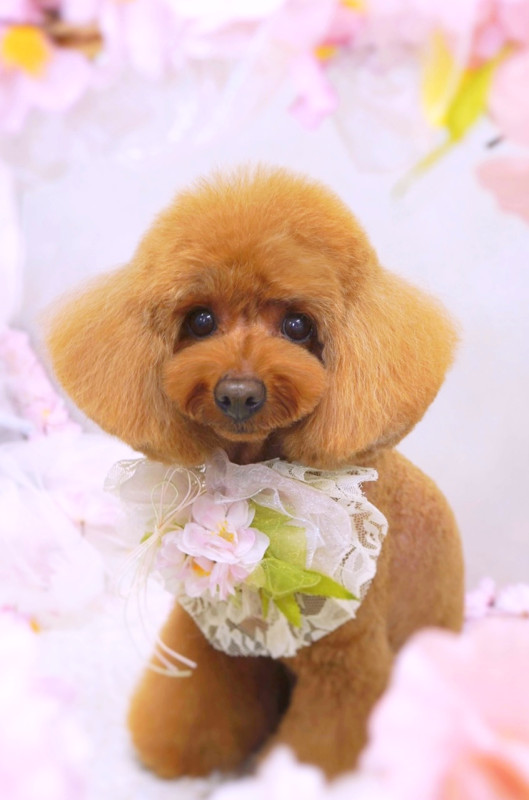 ひろちゃん