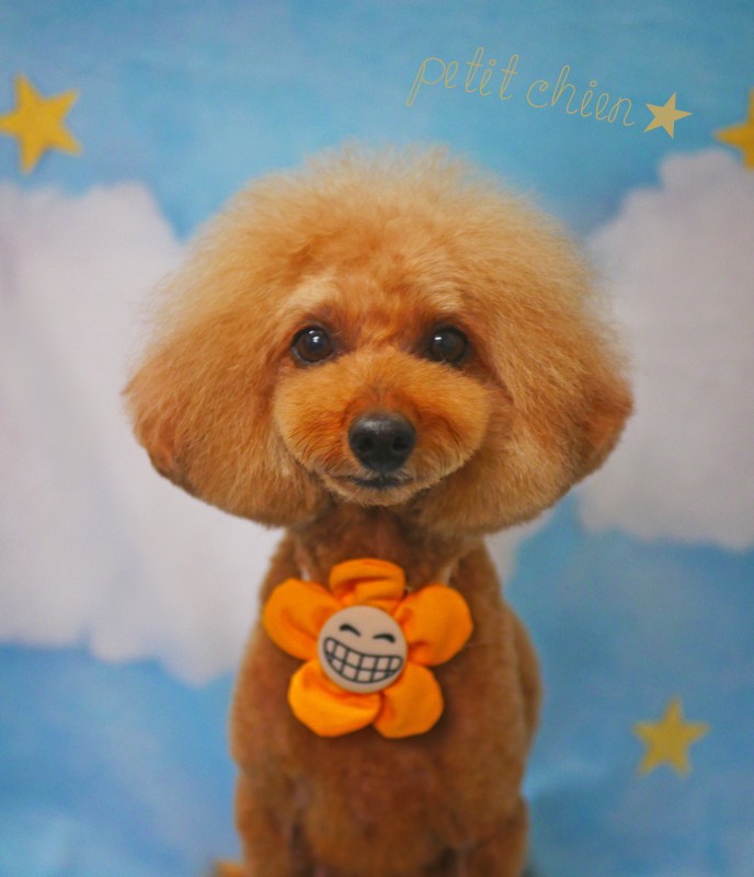 ニコくん
