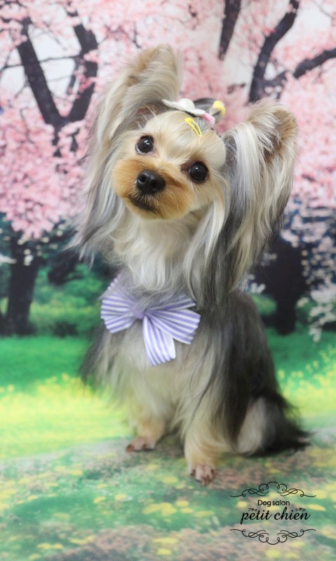 つむぎちゃん