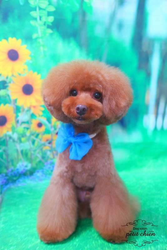 BENくん