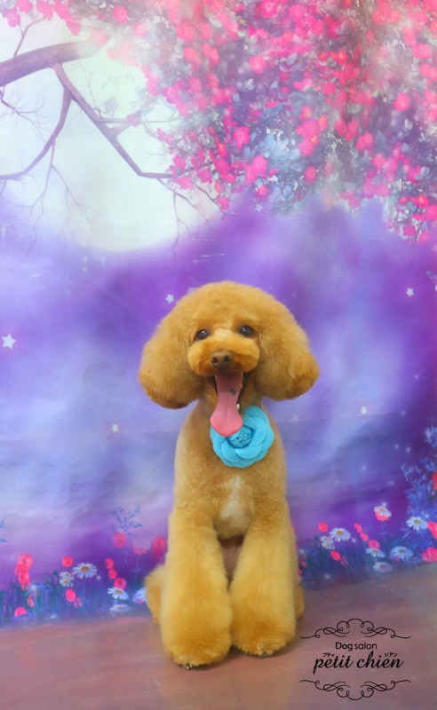 レンくん