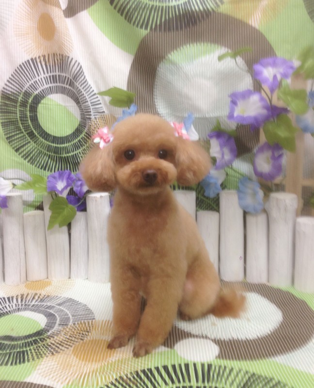 あろえちゃん
