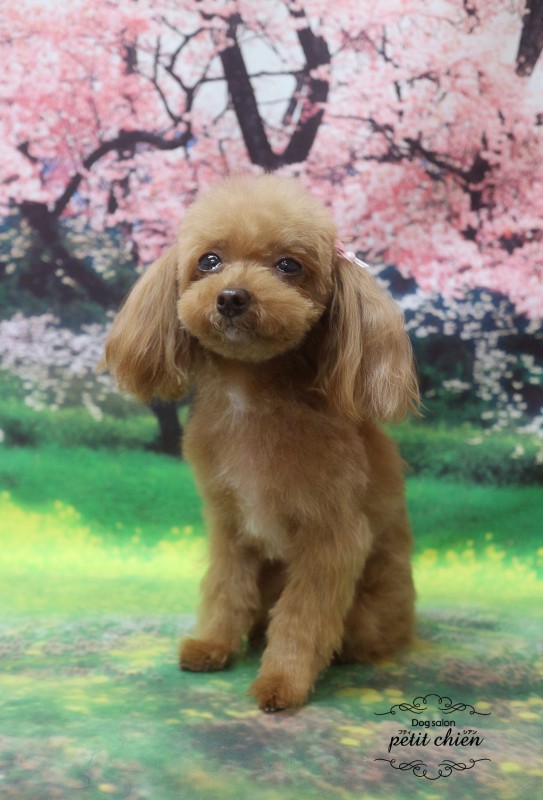 凛ちゃん