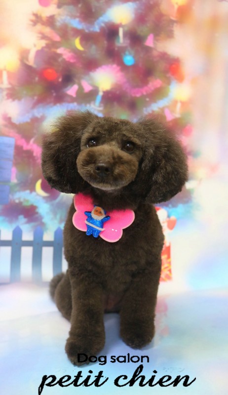 あんこちゃん