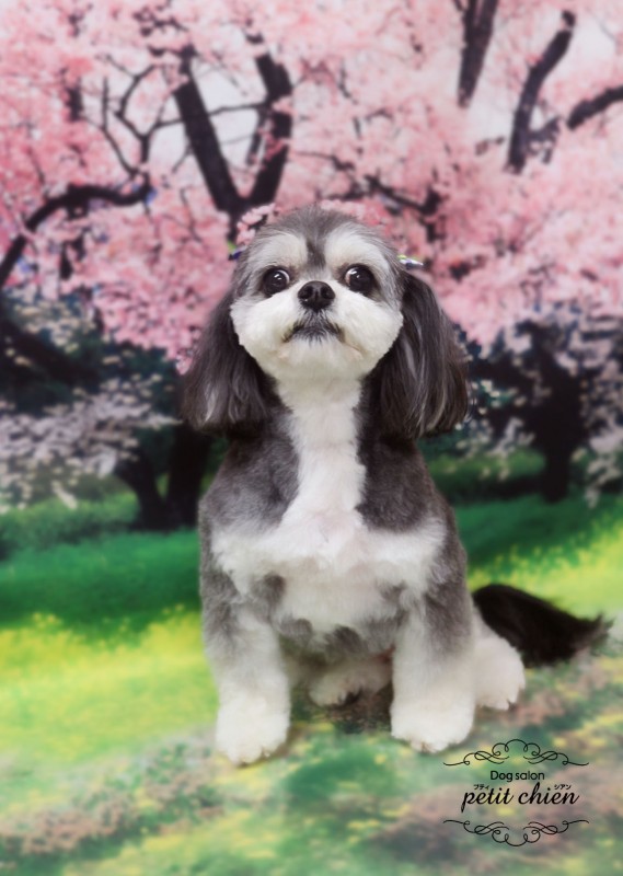るなちゃん
