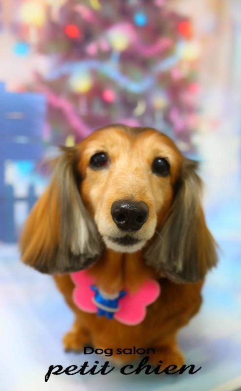 ミルキーちゃん
