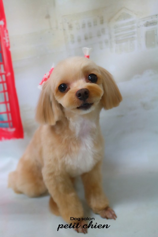のんのちゃん