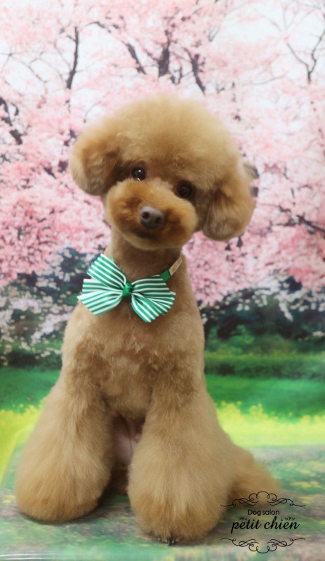 BENくん
