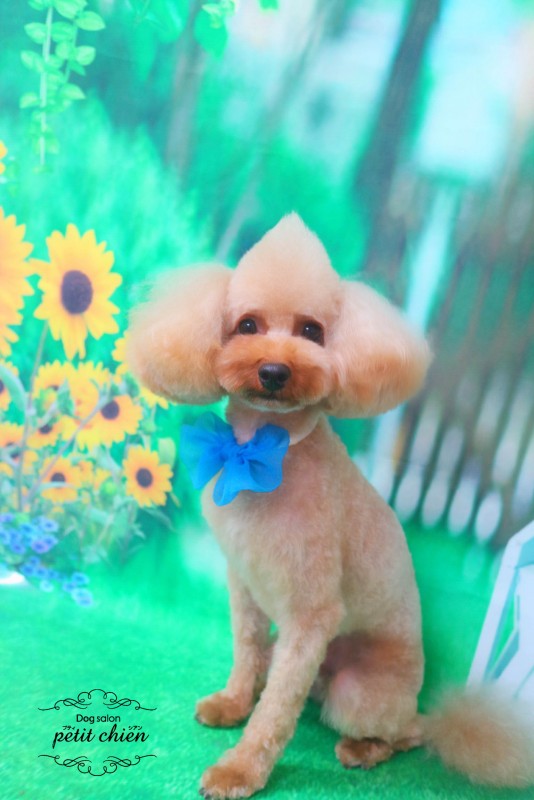ミントくん